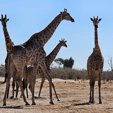 Xhabe Safari Lodge Chobe Muchenje Luaran gambar