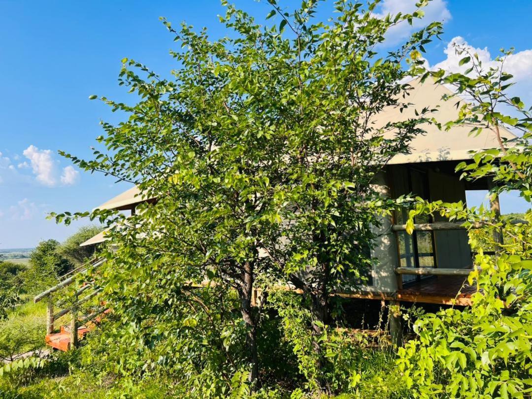 Xhabe Safari Lodge Chobe Muchenje Luaran gambar